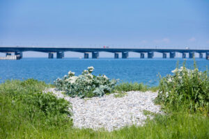 udsigt over storebælt